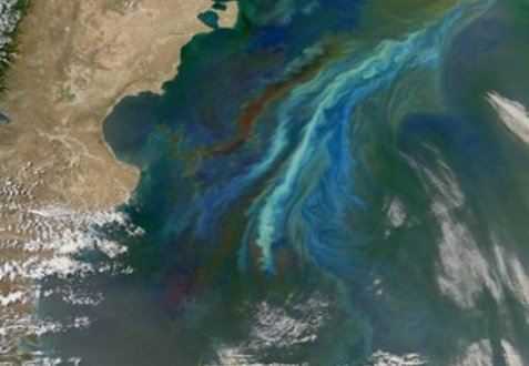 Phytoplankton bloom off the Atlantic coast of Patagonia